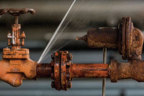 WhatsApp Image 2026-02-05 at 12.26.22